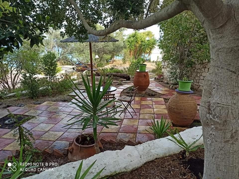 Anatoli Hotel Agia Marina  Exterior photo