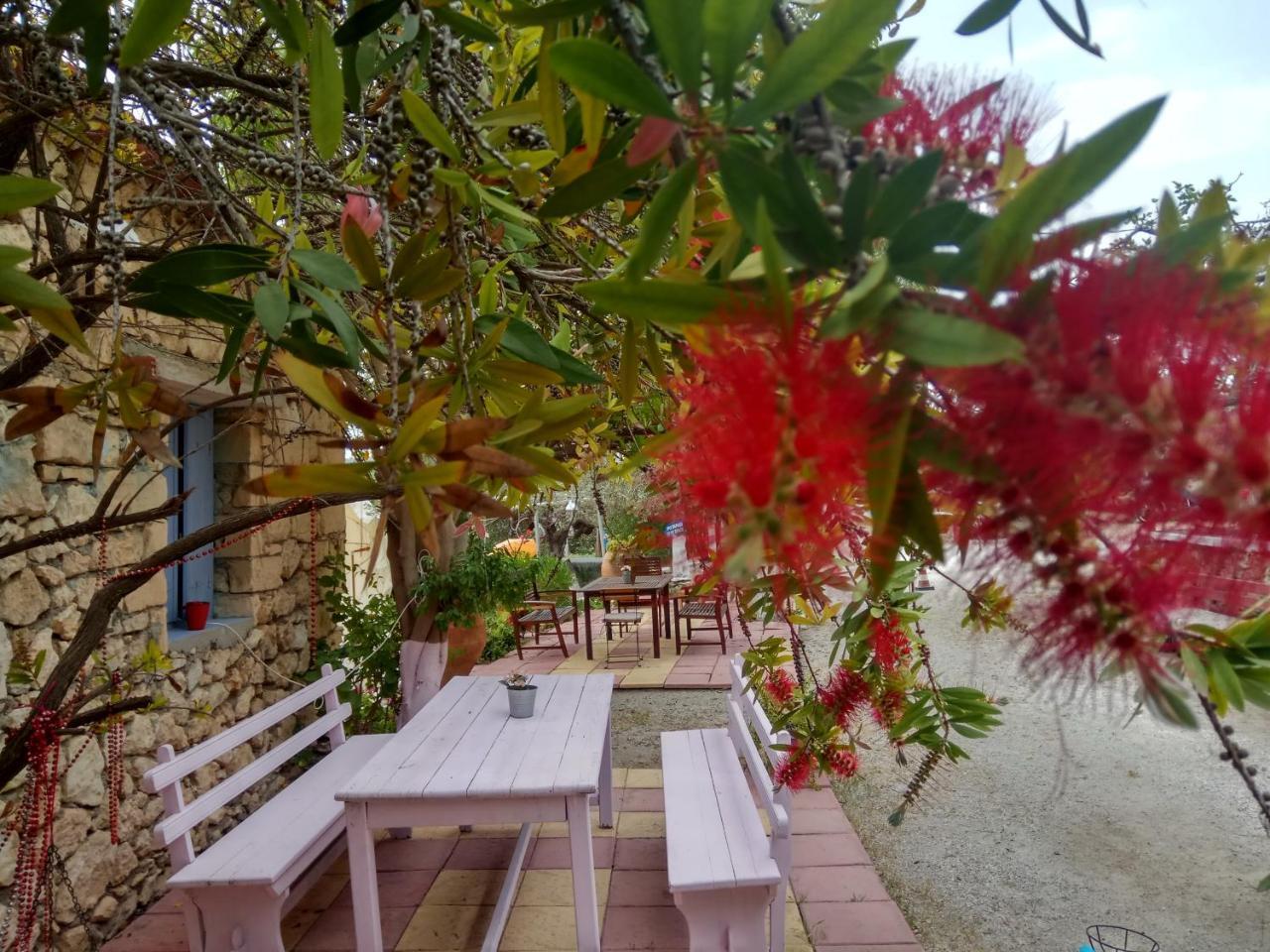 Anatoli Hotel Agia Marina  Exterior photo